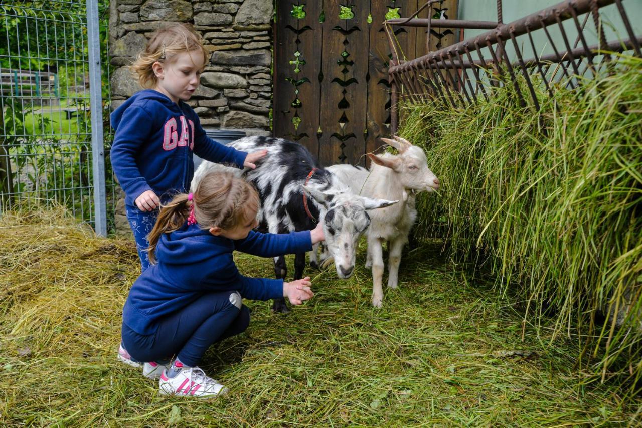 Farma Lama Dom Goscinny Тиліч Екстер'єр фото
